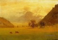 Vallée du Rhône Albert Bierstadt
